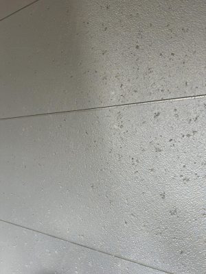image4.jpeg